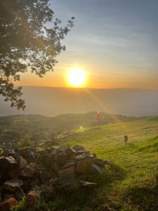 PHOTO-2026-03-26-08-33-22-2